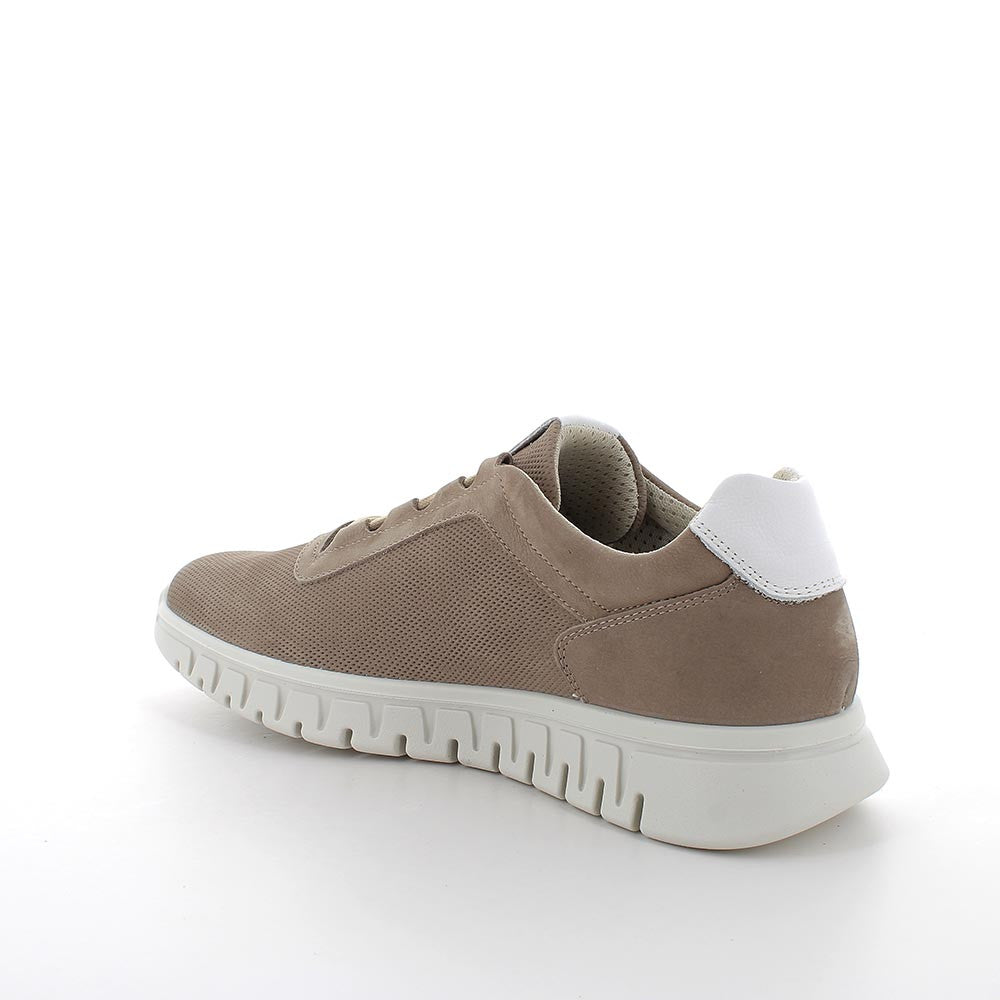 Igi&Co Scarpe Basse Stringate da Uomo – Marrone