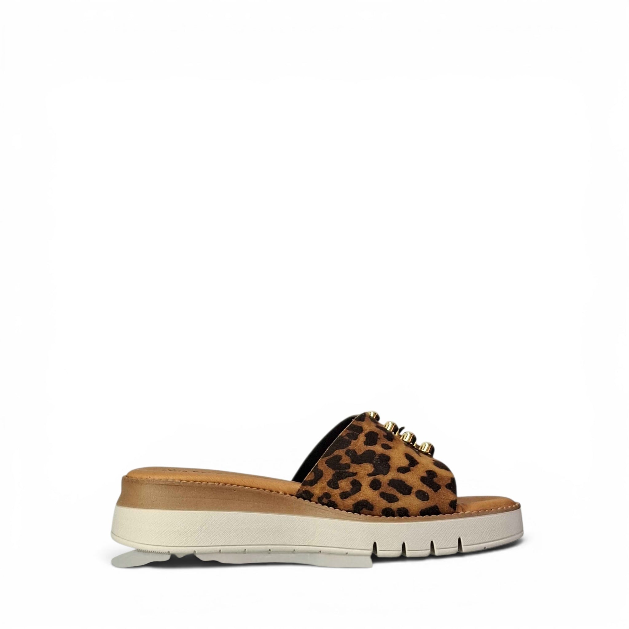 Giò dreams Pp6151 Ciabatte basse da Donna – PP6151