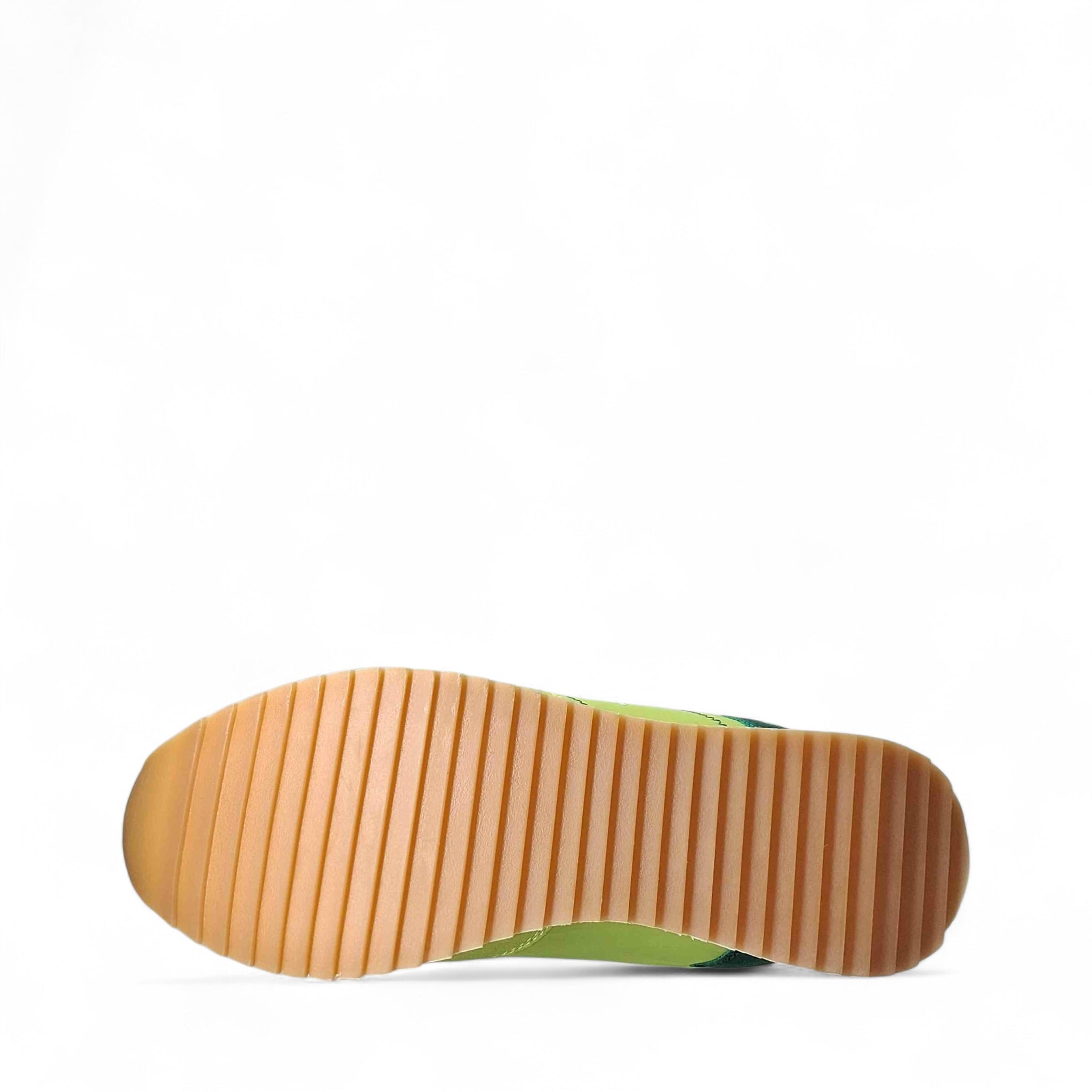 U.s. polo Altena Sneakers Basse da Uomo – Verde - 001A