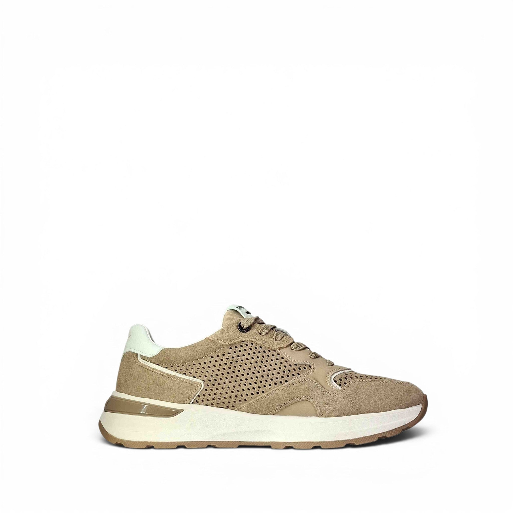 Guardiani Levante punched Sneakers basse da Uomo – GM61031A-023