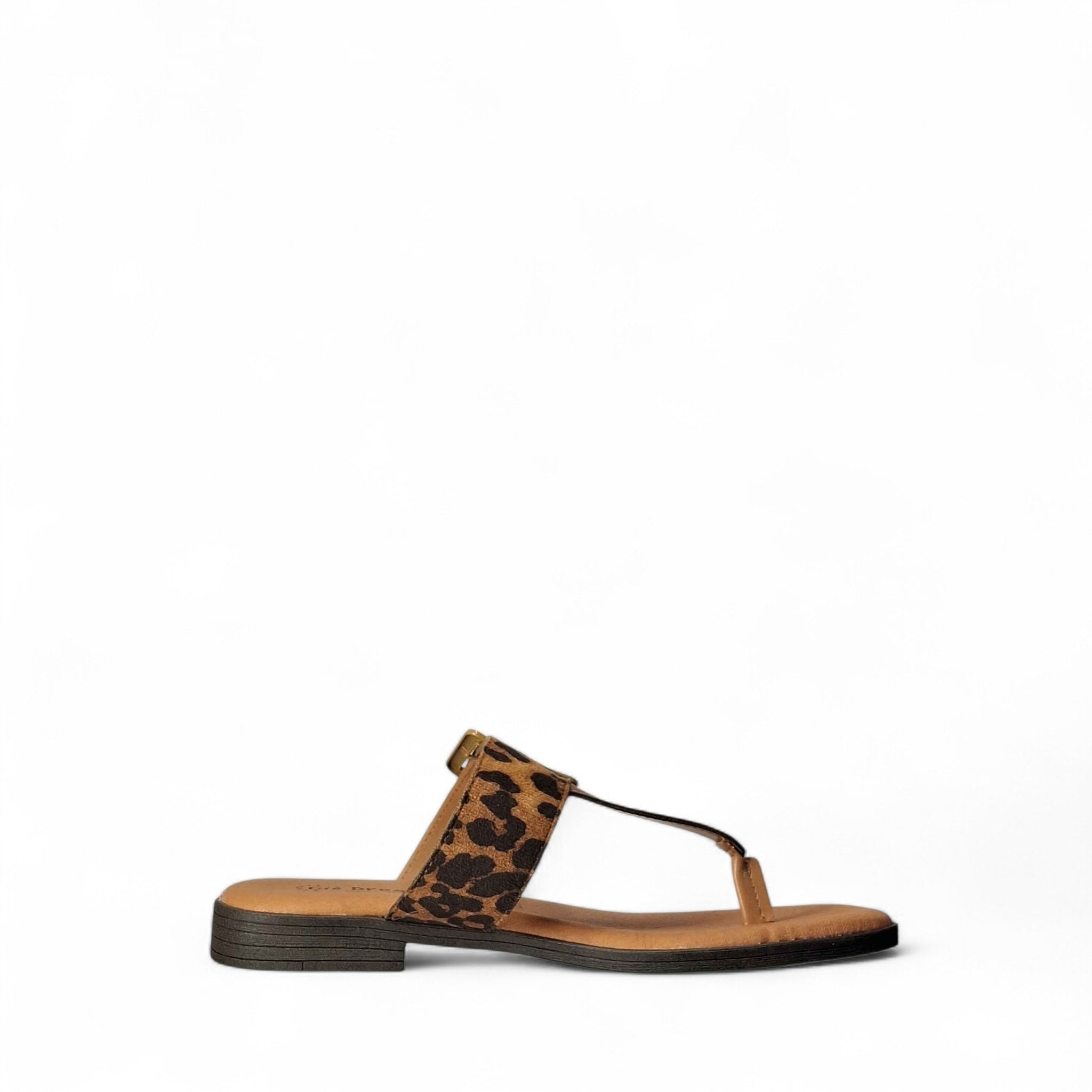 Giò dreams Gaia Ciabatte basse da Donna – PP606